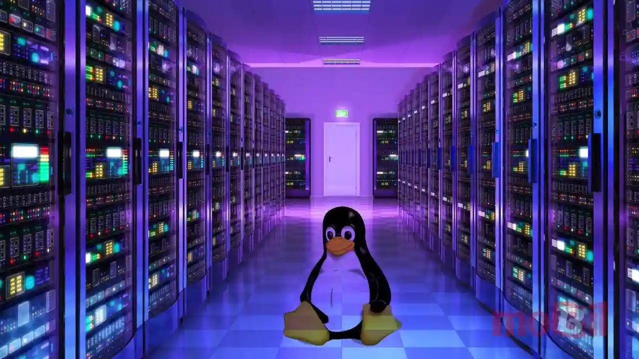 Server Linux