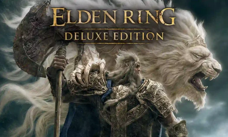 Quando verrà rilasciato il gioco DLC Elden Ring? Cosa hanno detto gli sviluppatori riguardo alla data di rilascio?
