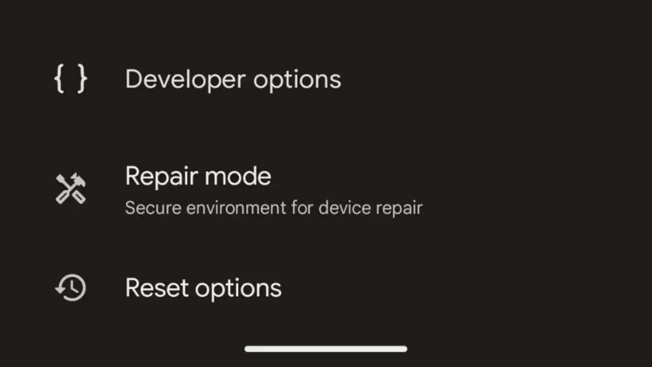 Opzioni sviluppatore Pixel 8